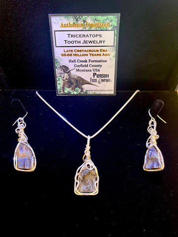 Triceratops Tooth Silver Wrapped Necklace and Earrings Set