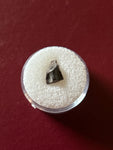 -Leptoceratops Tooth