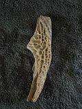 -Crocodile Skull Fragment