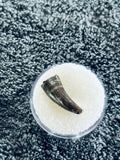 Unidentified Theropod Tooth