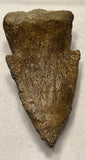 Pachycephalosaurus Claw