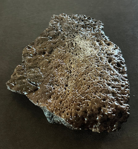 Triceratops Frill Section