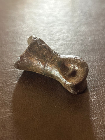 Raptor Toe Bone