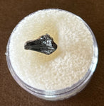 -Juvenile Triceratops Tooth