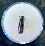 Nanotyrannus Premax Tooth