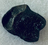 Raptor Toe Bone
