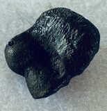 Raptor Toe Bone