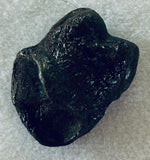 Raptor Toe Bone