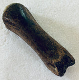 Raptor Digit