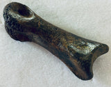 Raptor Digit