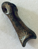 Raptor Digit