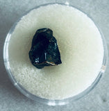 -Juvenile Triceratops Tooth