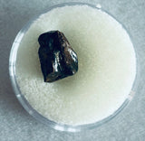 -Juvenile Triceratops Tooth