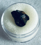 Juvenile Triceratops Tooth