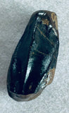 -Hadrosaur Tooth