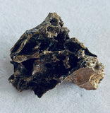 Tyrannosaurus Rex Bone Fragment