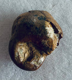 Fossilized Dinosaur Coprolite - Poop