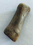Unidentified Fossilized Digit