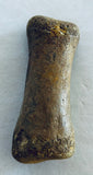 Unidentified Fossilized Digit