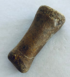 Unidentified Fossilized Digit