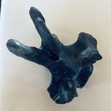Anzu Wyliei Cervical Vertebrae