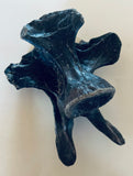 Anzu Wyliei Cervical Vertebrae
