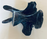 Anzu Wyliei Cervical Vertebrae