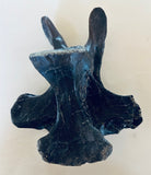 Anzu Wyliei Cervical Vertebrae