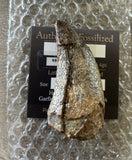 Tyrannosaurus Rex Tooth