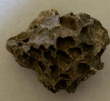 Tyrannosaurus Rex Bone Fragment