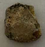 Tyrannosaurus Rex Bone Fragment