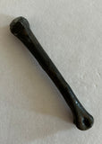 Raptor Limb Bone