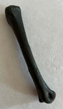 Raptor Limb Bone