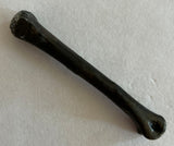 Raptor Limb Bone
