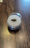 This is a 7/16" long Raptor tooth from the Hell Creek formation in Garfield County, Montana. It is in great condition with no significant repair or restoration L-7/16" W-1/4" Anterior-95%