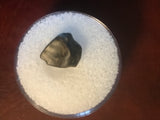 This is a 3/8" long partially rooted Ankylosaurus tooth from the Hell Creek formation in Garfield County, Montana. It is in fair condition with no significant repair or restoration.  L-3/8" W-3/8"