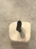  This is a 5/8" long Raptor tooth from the Hell Creek formation in Garfield County, Montana. It is in good condition with no significant repair or restoration.  L-5/8" W-1/8" Anterior 100% Posterior-0%