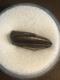 This is a 1" long Hadrosaur tooth from the Hell Creek formation in Garfield County, Montana. It is in great condition with no significant repair or restoration.  L-1" W-3/8"