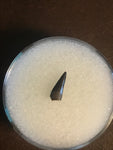 This is a unidentified Raptor Tooth from the Hell Creek Formation in Garfield County Montana. This tooth is in excellent condition. Length - 1/2"  Width - 1/4"   