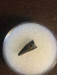 This is a unidentified Raptor Tooth from the Hell Creek Formation in Garfield County Montana. This tooth is in excellent condition. Length - 1/2"  Width - 1/4"