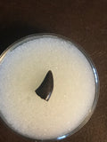 This is a unidentified raptor tooth from the Hell Creek Formation in Garfield county Montana.  Length -  1/4"  Width -  3/8"  Excellent Condition