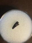 This Ricardo tooth was collected from the Hell Creek formation in Garfield County, Montana. It is in good condition with no significant repair or restoration.  Length ~ 3/8" Width ~ 1/8"