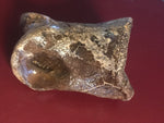 This is a 2 1/2" long unidentified Theropod digit from the Hell Creek formation in Garfield County, Montana. It is in good condition with no significant repair or restoration.  L-2 1/2 W-1 7/8