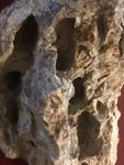 This is a 3" T-Rex bone fragment from the Hell Creek Formation in Garfield County, Montana. This is a very unique piece showing what the inside of the bone looks like. It is in great condition with no significant repair or restoration.  L-3" W-2"