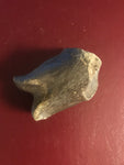 This is a 2 1/4" long unidentified Theropod digit from the Hell Creek formation in Garfield County, Montana. It is in excellent condition with no significant repair or restoration.  L-2 1/4 W-1 1/4