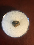 This is a 1/4" long partially rooted Ankylosaurus tooth from the Hell Creek formation in Garfield County, Montana. It is in fair condition with no significant repair or restoration.  L-1/4" W-3/8"