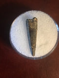 This Ricardo tooth was collected from the Hell Creek formation in Garfield County, Montana. It is in good condition with no significant repair or restoration.  Length ~ 1" Width ~ 1/4"