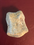 This is a 1 1/8" long unidentified Theropod digit from the Hell Creek formation in Garfield County, Montana. It is in fair condition with no significant repair or restoration.  L-1 1/8" W-7/8"