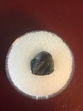 This is a 3/8" long Juvenile Triceratops Tooth from the Hell Creek Formation in Garfield County, Montana. It is in excellent condition with no significant repair or restoration.  Length- 3/8" Width -3/8"