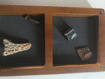 This Crocodile box comes with a Crocodile tooth, vertebrae, and a unidentified Crocodile bone.  Boxes are 7"x4" 